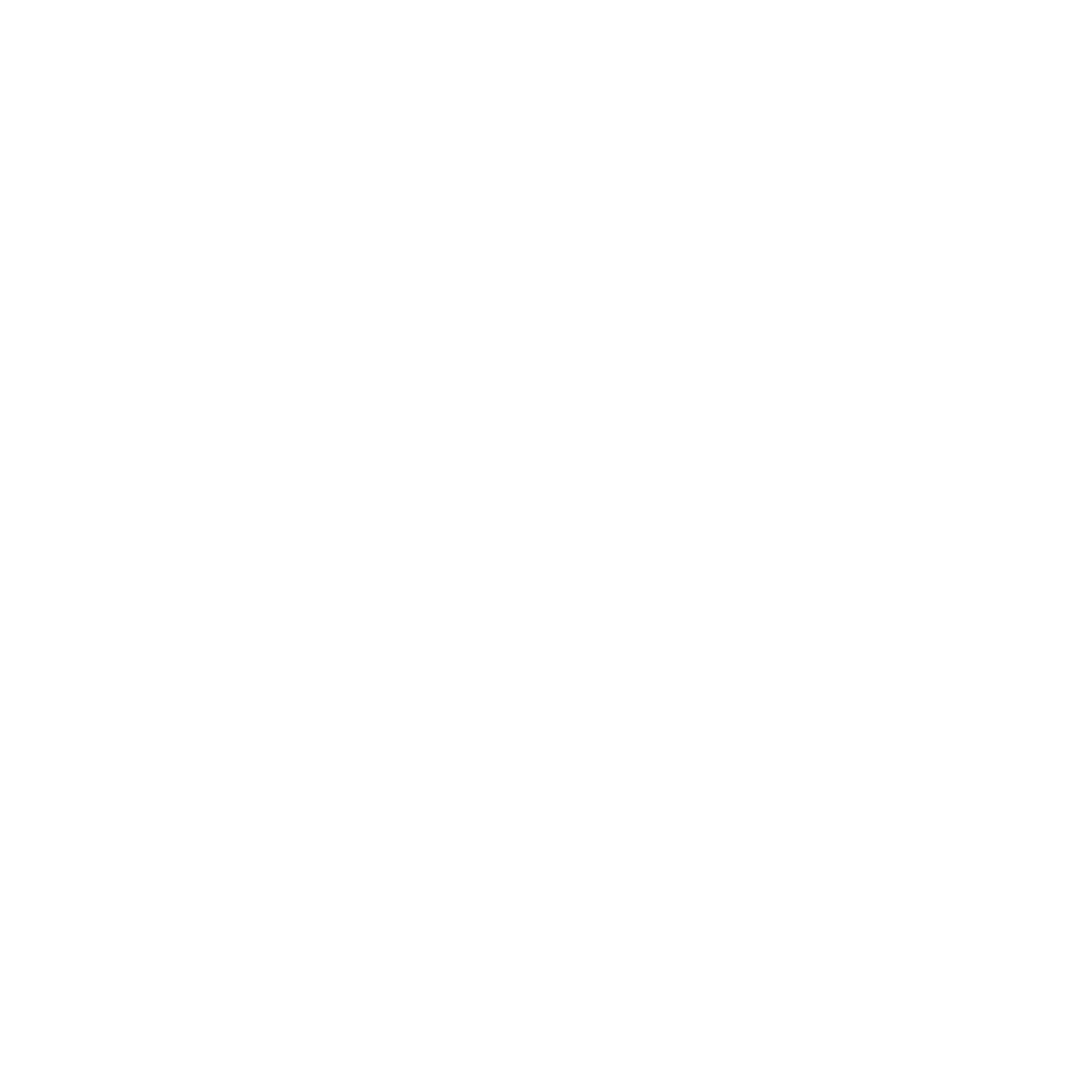 Logo Zapfy